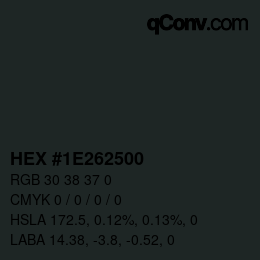 Color code: HEX #1E262500 | qconv.com