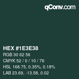 Color code: HEX #1E3E38 | qconv.com