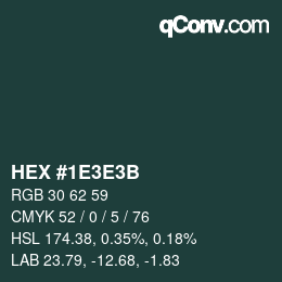 Color code: HEX #1E3E3B | qconv.com