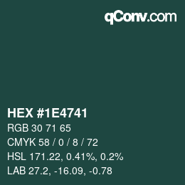 Color code: HEX #1E4741 | qconv.com
