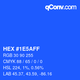 Color code: HEX #1E5AFF | qconv.com