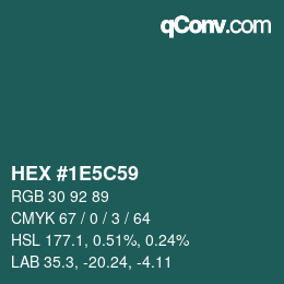 Color code: HEX #1E5C59 | qconv.com