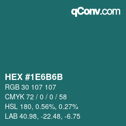 Color code: HEX #1E6B6B | qconv.com