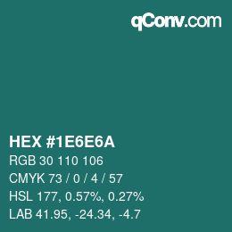 Color code: HEX #1E6E6A | qconv.com