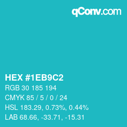 Color code: HEX #1EB9C2 | qconv.com