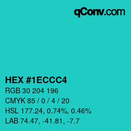 Color code: HEX #1ECCC4 | qconv.com