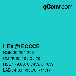 Color code: HEX #1ECCCB | qconv.com