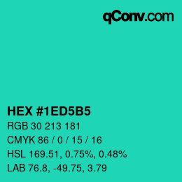 Color code: HEX #1ED5B5 | qconv.com