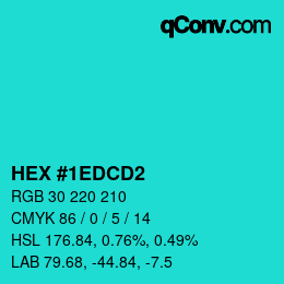 Color code: HEX #1EDCD2 | qconv.com