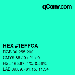 Color code: HEX #1EFFCA | qconv.com