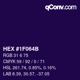 Color code: HEX #1F064B | qconv.com