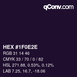 Color code: HEX #1F0E2E | qconv.com