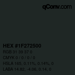 Color code: HEX #1F272500 | qconv.com