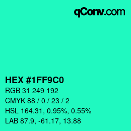 Color code: HEX #1FF9C0 | qconv.com