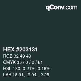 Color code: HEX #203131 | qconv.com