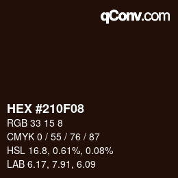 Color code: HEX #210F08 | qconv.com