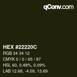颜色代码: HEX #22220C | qconv.com