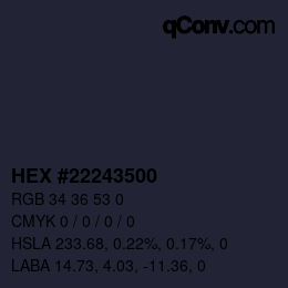 Color code: HEX #22243500 | qconv.com