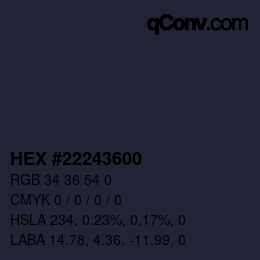 Color code: HEX #22243600 | qconv.com