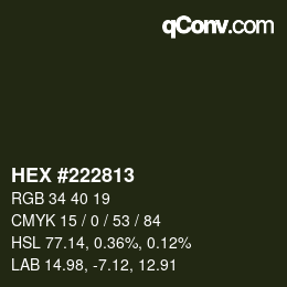Color code: HEX #222813 | qconv.com