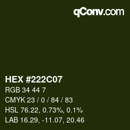 Color code: HEX #222C07 | qconv.com