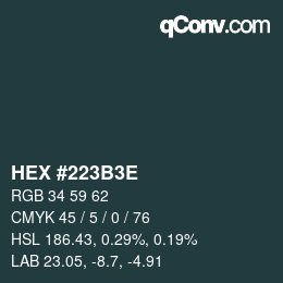 Color code: HEX #223B3E | qconv.com