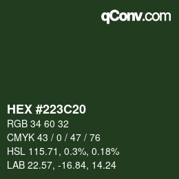 Farbcode: HEX #223C20 | qconv.com