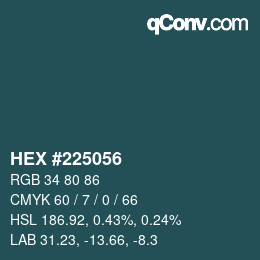 Color code: HEX #225056 | qconv.com