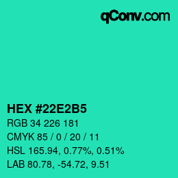 Color code: HEX #22E2B5 | qconv.com