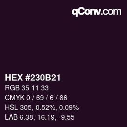 Code couleur: HEX #230B21 | qconv.com