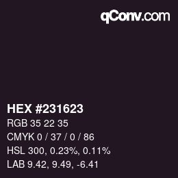 颜色代码: HEX #231623 | qconv.com