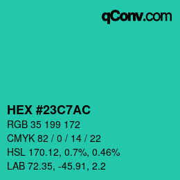 Color code: HEX #23C7AC | qconv.com