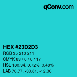 Color code: HEX #23D2D3 | qconv.com