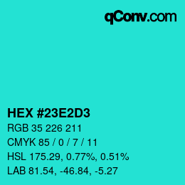Color code: HEX #23E2D3 | qconv.com