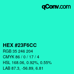 Color code: HEX #23F6CC | qconv.com