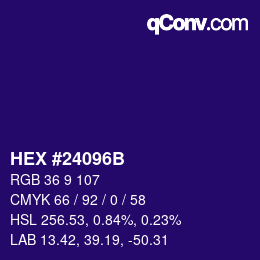 Color code: HEX #24096B | qconv.com