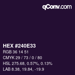 Color code: HEX #240E33 | qconv.com