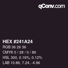 Color code: HEX #241A24 | qconv.com