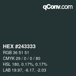 Color code: HEX #243333 | qconv.com