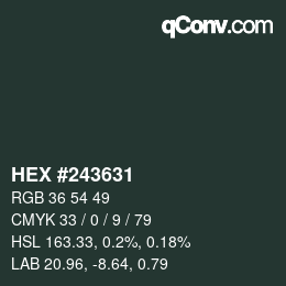 Color code: HEX #243631 | qconv.com
