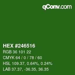 颜色代码: HEX #246516 | qconv.com