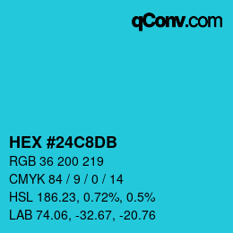 Color code: HEX #24C8DB | qconv.com