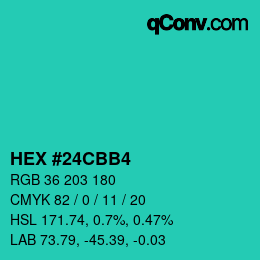 Color code: HEX #24CBB4 | qconv.com