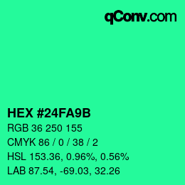 Color code: HEX #24FA9B | qconv.com