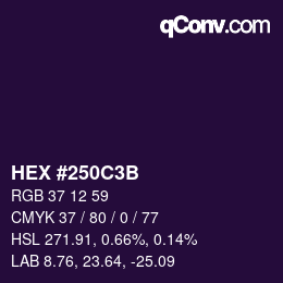 颜色代码: HEX #250C3B | qconv.com