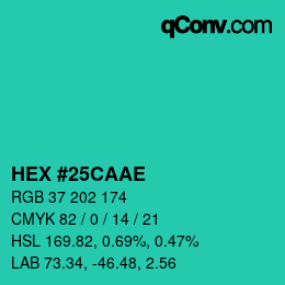 Color code: HEX #25CAAE | qconv.com