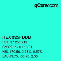 Color code: HEX #25FDDB | qconv.com