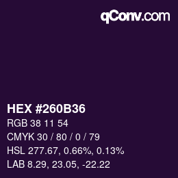 Color code: HEX #260B36 | qconv.com