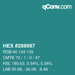 Color code: HEX #288687 | qconv.com