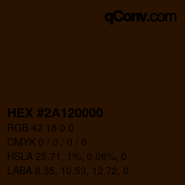 Color code: HEX #2A120000 | qconv.com